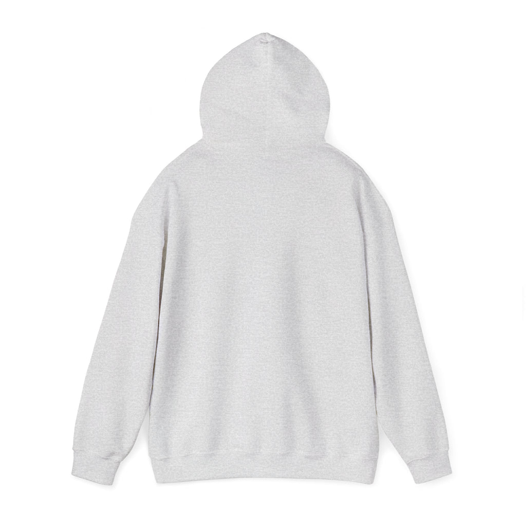 1 John 4:18 Hoodie